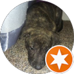 Profile photo of Charlene Babcock