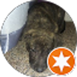 Profile photo of Charlene Babcock