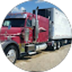 Profile photo of Fran Wellman