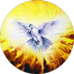 Profile photo of Mario Diaz Albarran