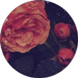 Profile photo of Your_ Serendipity_