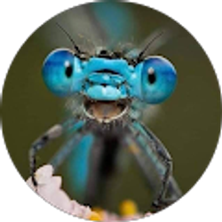 Profile photo of dina cubbage