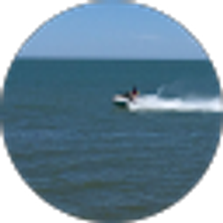 Profile photo of shawn vidaca