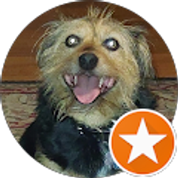 Profile photo of Beverly Kays