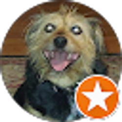 Profile photo of Beverly Kays