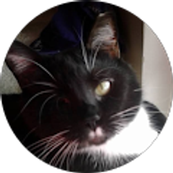 Profile photo of rose kersey