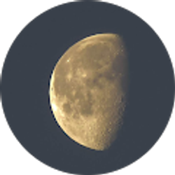 Profile photo of Joshua S