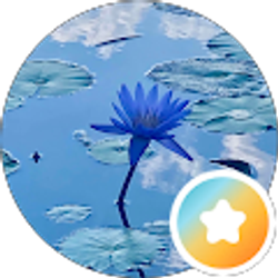 Profile photo of Lily