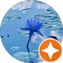 Profile photo of Lily