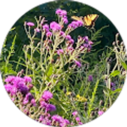 Profile photo of Emilia Hernandez