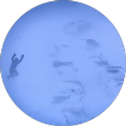 Profile photo of Andy Rader