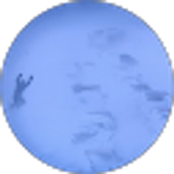 Profile photo of Andy Rader