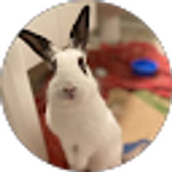 Profile photo of Chloe Doyle