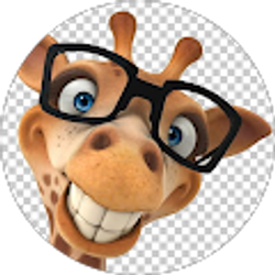 Profile photo of Stephanie Kopfle