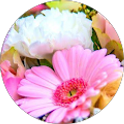 Profile photo of Brianna Bernstein