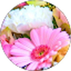 Profile photo of Brianna Bernstein