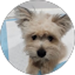 Profile photo of Rivas Karoline