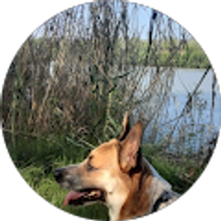 Profile photo of Diana Ovalle