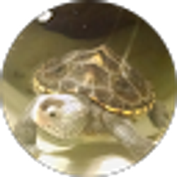 Profile photo of Lisa