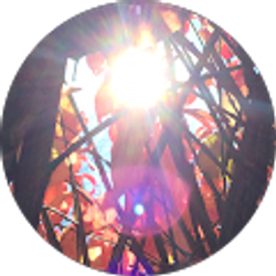 Profile photo of Luke Land