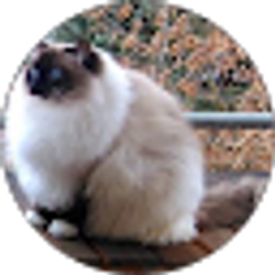 Profile photo of Geena Anderson