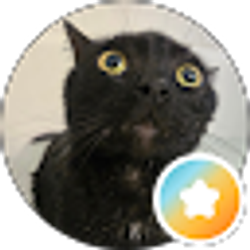 Profile photo of Sabrina Decal