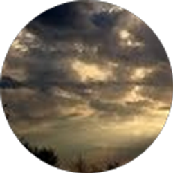 Profile photo of Ruby Ho