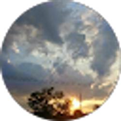 Profile photo of Calvin Johnson