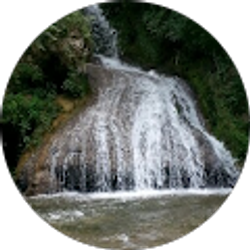 Profile photo of Jami Salvio