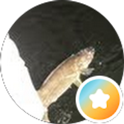 Profile photo of Joe Fuerst