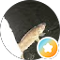 Profile photo of Joe Fuerst