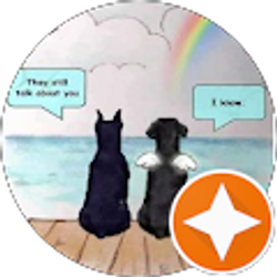 Profile photo of steven