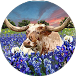 Profile photo of Lonnie Elswick