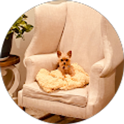 Profile photo of Sharon Justice