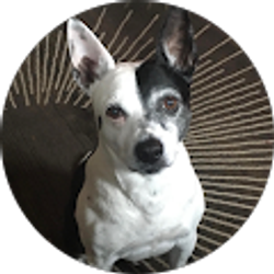 Profile photo of Katherine Fields