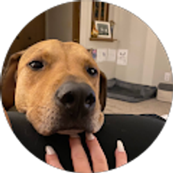 Profile photo of Jennifer Kuluris