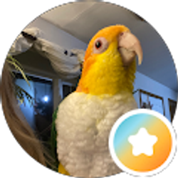 Profile photo of Stephanie Slayer