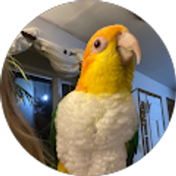 Profile photo of Stephanie Slayer