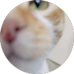 Profile photo of Daniel