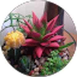 Profile photo of Susan Pennington