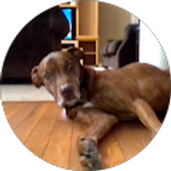 Profile photo of Cierra wood