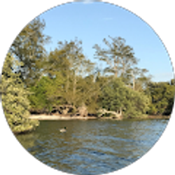 Profile photo of Jordan