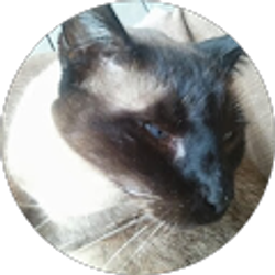 Profile photo of Merl Neel