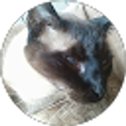 Profile photo of Merl Neel