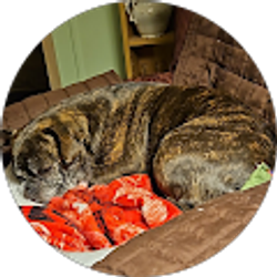 Profile photo of Pamela Schumacher