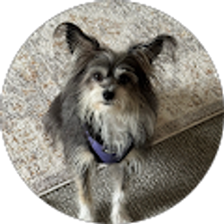 Profile photo of Kevin Bridy