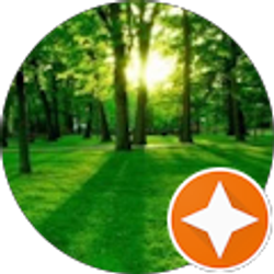 Profile photo of sofia bordogna