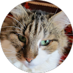 Profile photo of Сергей Макуха
