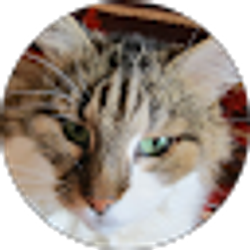 Profile photo of Сергей Макуха
