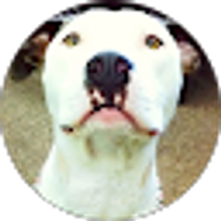 Profile photo of Rod L